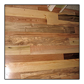 Kitchen Mixed Species Sustainable Hallway