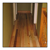 Sustainable TreeHugger Mixed Species Hallway