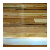 Top of Mixed Species TreeHugger Steps